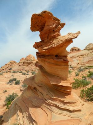 DSCN4453.JPG