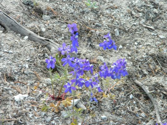 DSCN5089.JPG