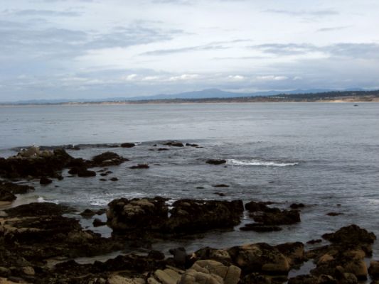 Tag 3
San Francisco nach Monterey
