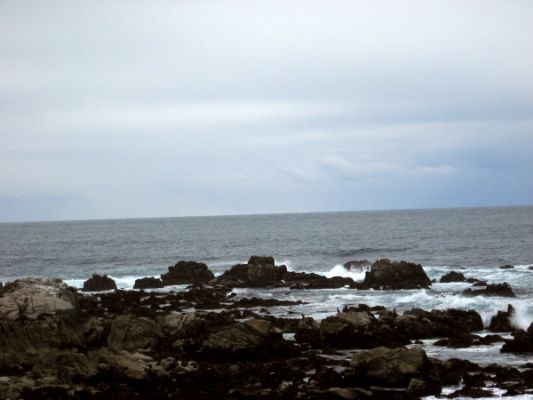 Tag 3
17 Mile Drive
