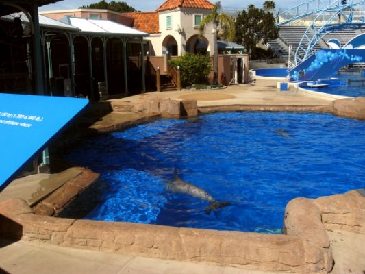 Seaworld
