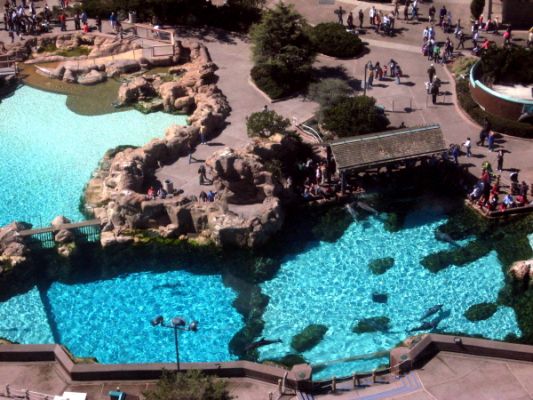 Seaworld
