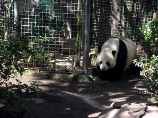 San Diego Zoo
