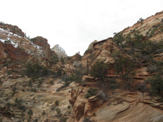 Canyon Overlook Trail Zion N.P.
