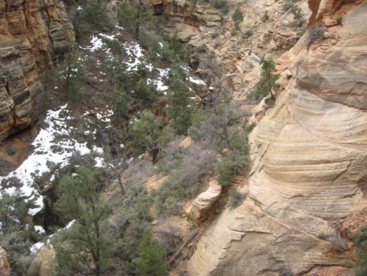Canyon Overlook Trail Zion N.P.
