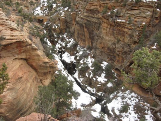 Canyon Overlook Trail Zion N.P.
