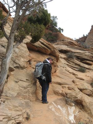 Canyon Overlook Trail Zion N.P.
