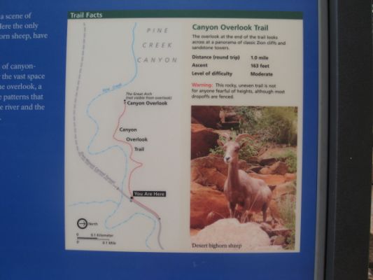 Canyon Overlook Trail Zion N.P.
