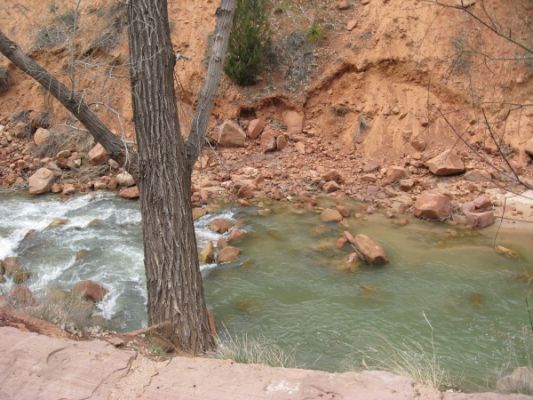 Lower Emerald Pools Zion N.P.
