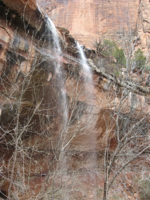 Lower Emerald Pools Zion N.P.
