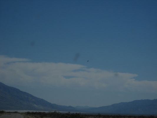 IMG_2888.JPG