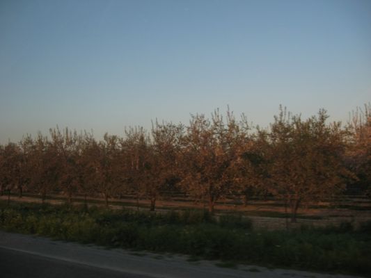 IMG_2905.JPG