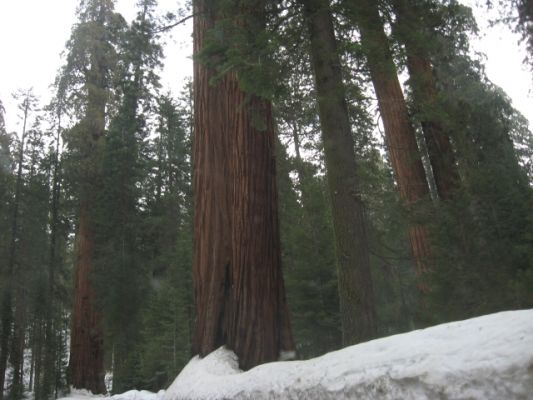 IMG_3004.JPG