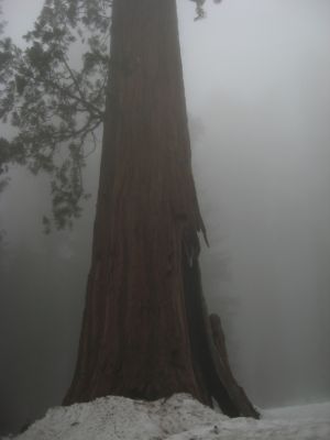 IMG_3020.JPG