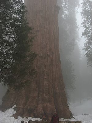 IMG_3032.JPG