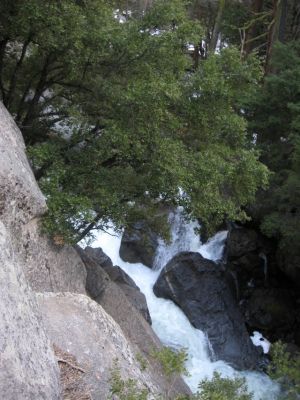 IMG_3093.JPG