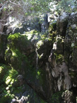 IMG_3097.JPG