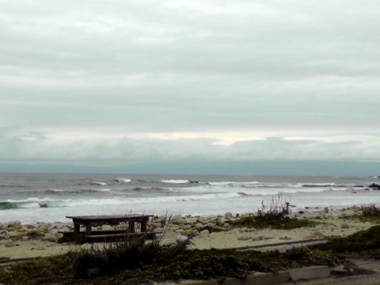 Tag 3
17 Mile Drive
