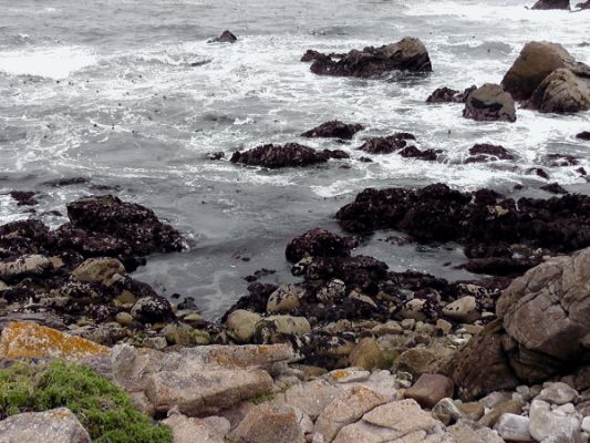 Tag 3
17 Mile Drive
