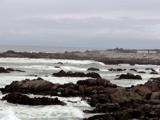Tag 3
17 Mile Drive
