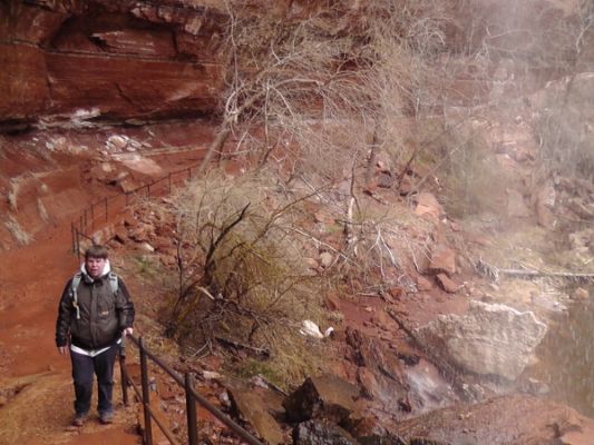 Lower Emerald Pools Zion N.P.
