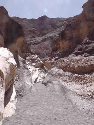 S1220065.JPG