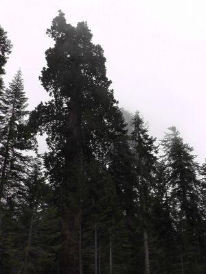 S1230054.JPG