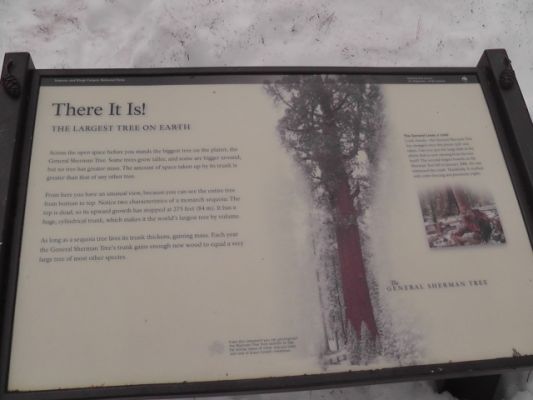 S1230069.JPG