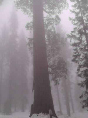 S1230074.JPG