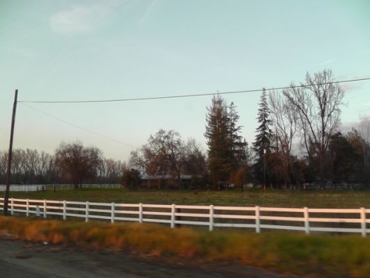 S1230110.JPG