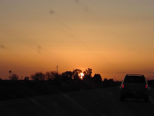 S1230115.JPG