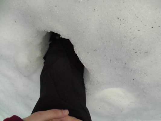 S1240138.JPG