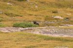 DSC05028.jpg