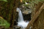 DSC05386~0.jpg