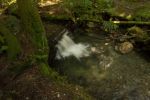DSC05390.jpg
