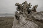 DSC05791.jpg