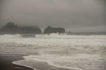 DSC06197.jpg
