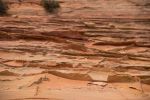 DSC07712.jpg