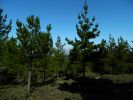 DSCN0788.JPG