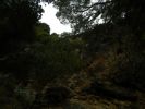 DSCN0978.JPG