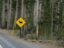 DSCN1525.JPG