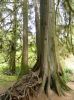 DSCN3213.JPG