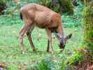 DSCN3438.JPG