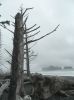 DSCN3508.JPG