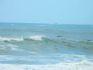 DSCN3539.JPG