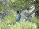 DSCN4052.JPG