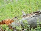 DSCN5059.JPG