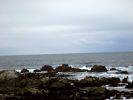 IMG_0380.JPG