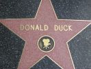 Hollywood Bvd