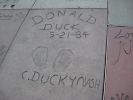 Hollywood Bvd